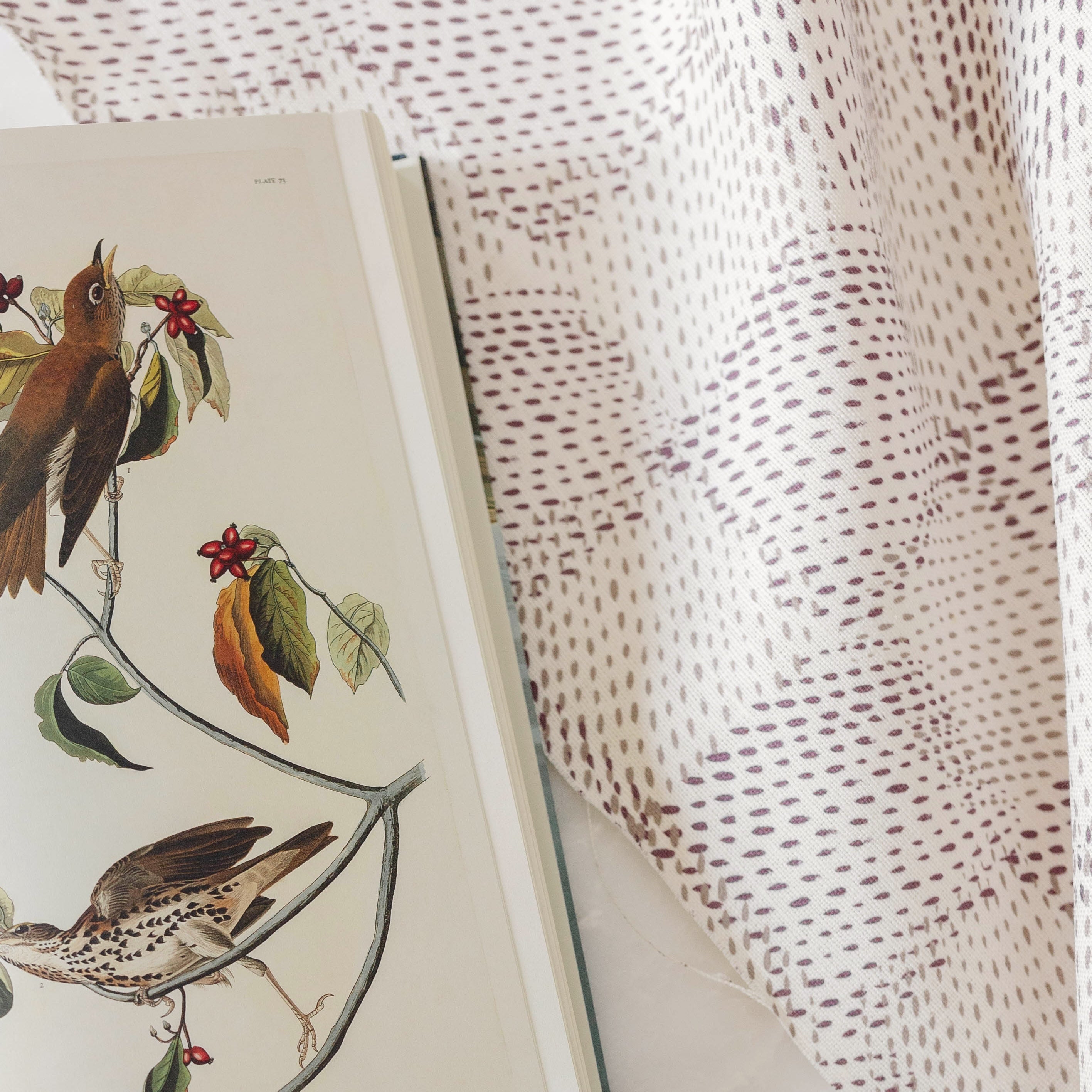 Speckled Check Sorbet fabric by Emily Daws — Fauna Collection, available by the yard for drapery and upholstery